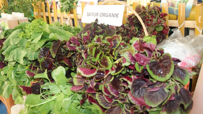 Sayur Organik